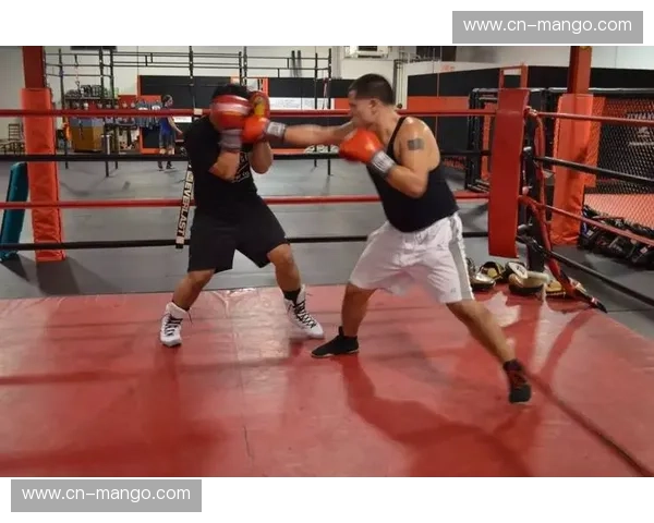 数据拳击：用数据出拳，打破决策盲区